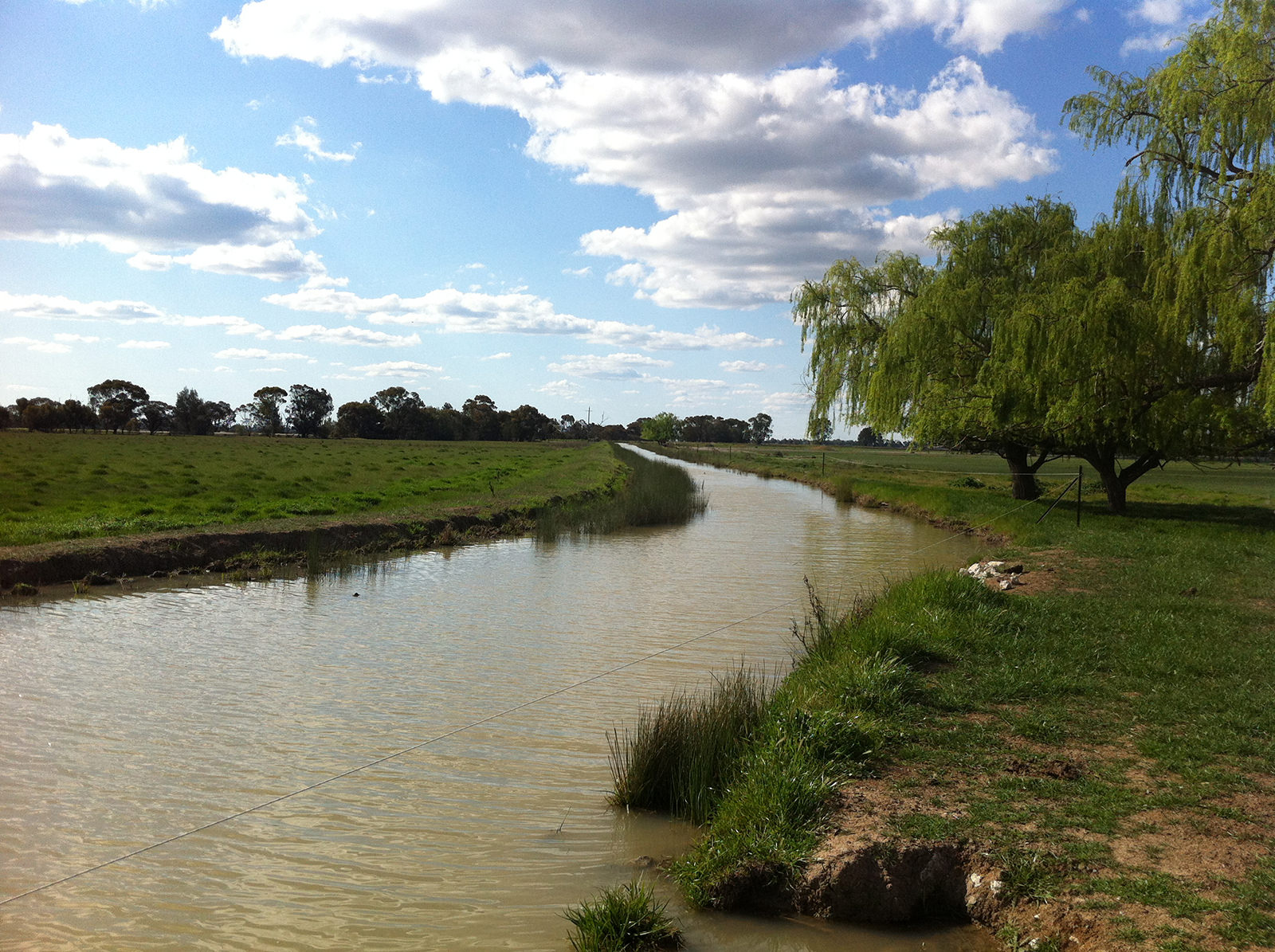 (WATER POLICY Review tells of destruction of farms in Goulburn Valley)*