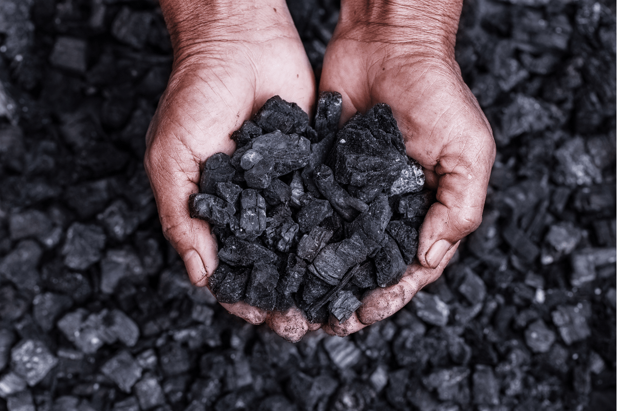 (88% accept coal if renewables cost jobs, industry, exports)*
