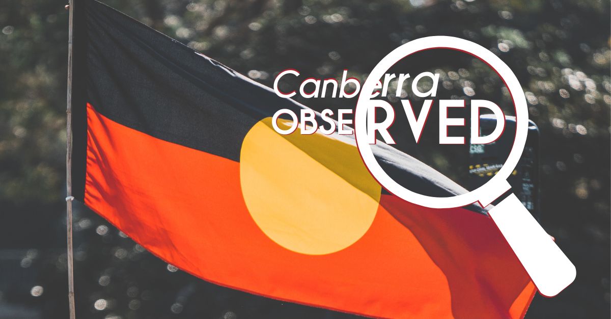 (We Already Have a Powerful Indigenous Voice in Parliament)*